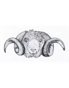 Notre offre de peaux et cuirs de mouton - Cuir Naturel